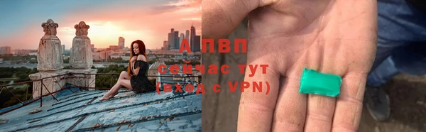 хмурый Абаза