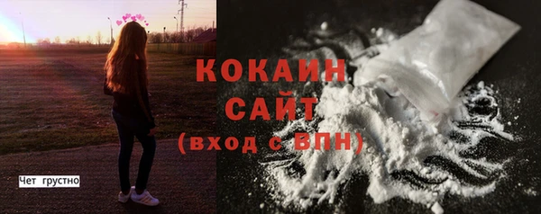 хмурый Абаза
