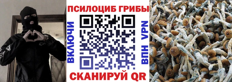 Псилоцибиновые грибы Magic Shrooms  Красноармейск 